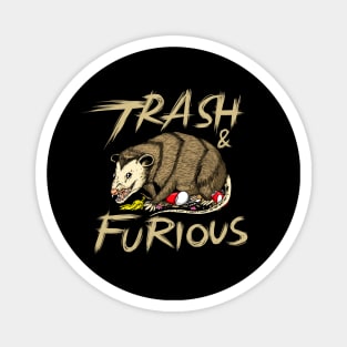 Trash and furious opossum Magnet
